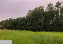 Działka rolno-budowlana Karczunek. Zdjęcie 1