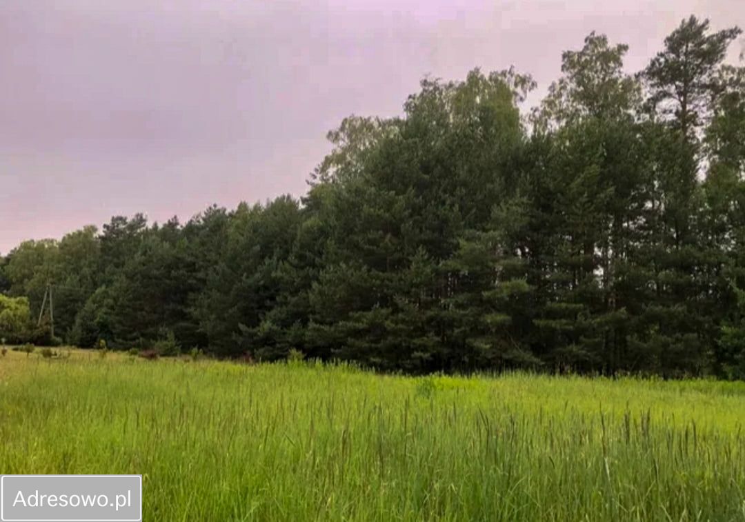 Działka rolno-budowlana Karczunek. Zdjęcie 2
