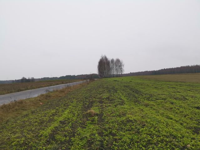 Działka rolno-budowlana Wólka Dobryńska. Zdjęcie 1