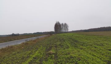 Działka rolno-budowlana Wólka Dobryńska