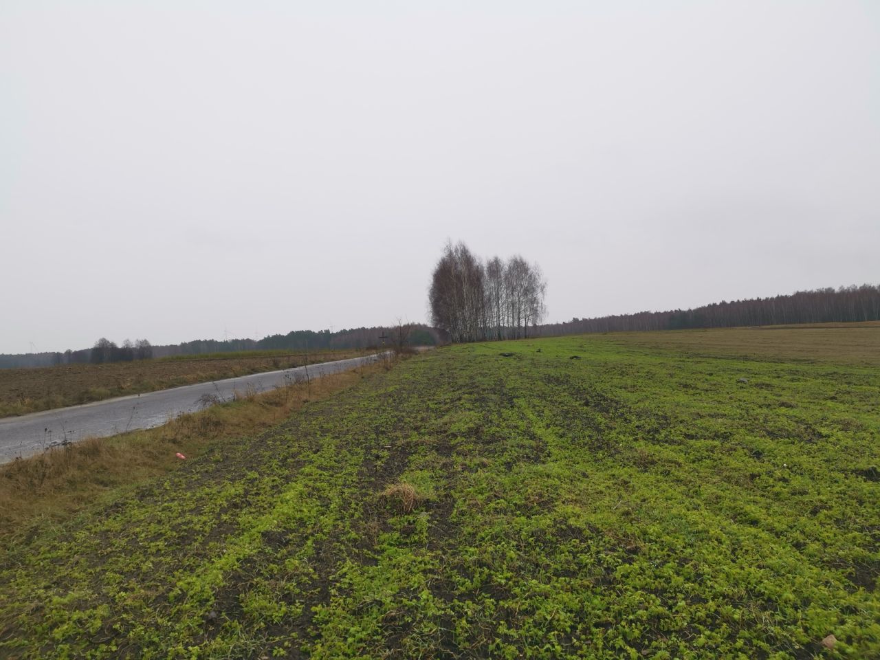 Działka rolno-budowlana Wólka Dobryńska