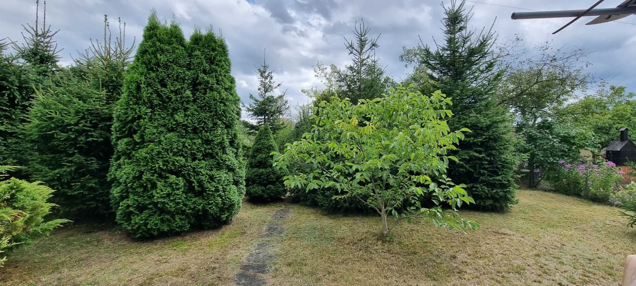 Działka rod Wrocław Brochów. Zdjęcie 8