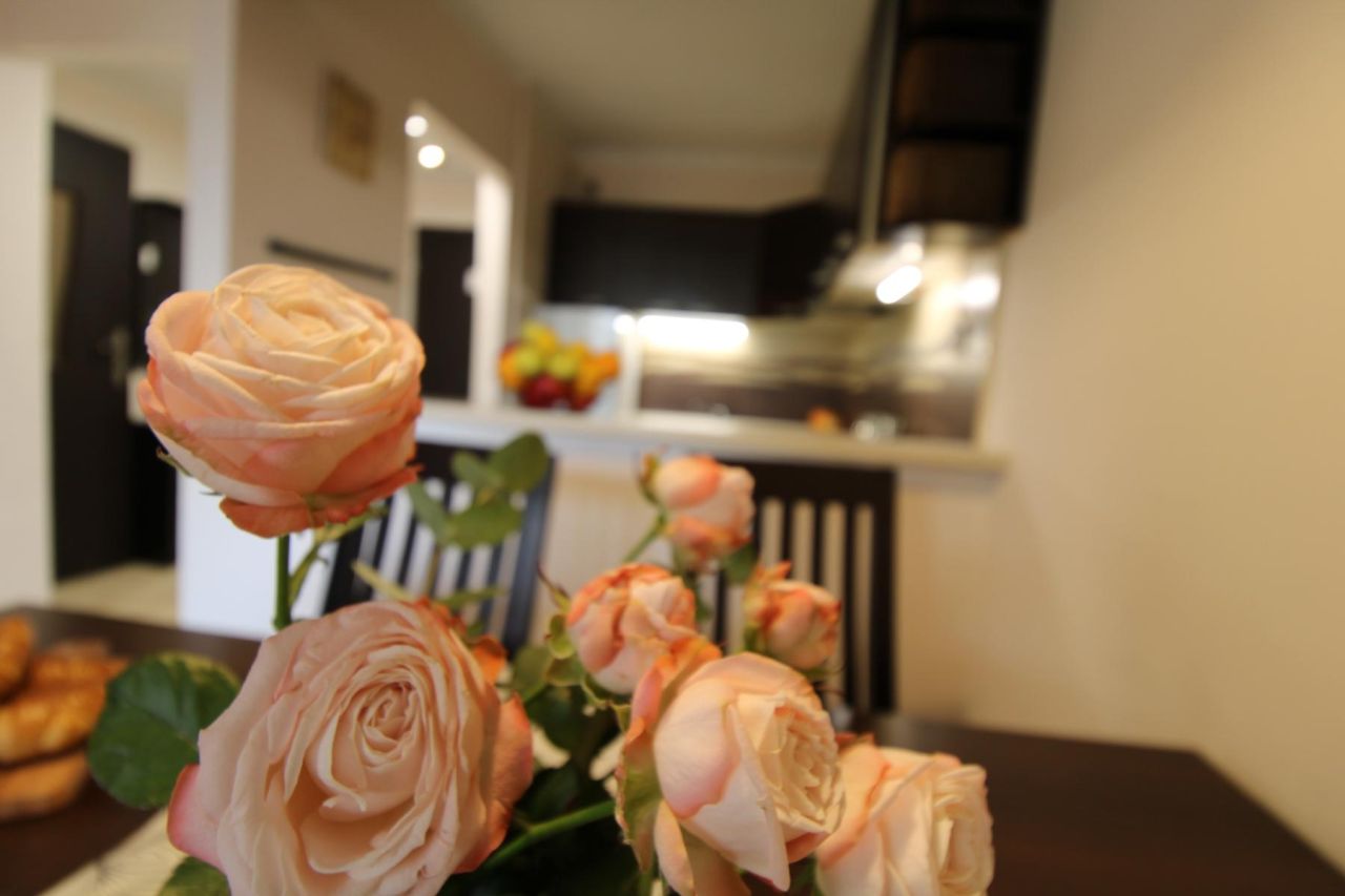 Mieszkanie 2-pokojowe Łódź Widzew, ul. Niciarniana