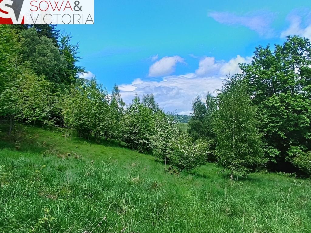 Działka budowlana Jedlina-Zdrój Kamieńsk. Zdjęcie 6