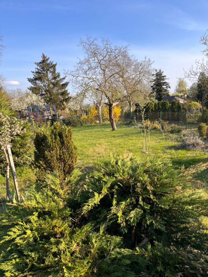 Działka rod Szczecin Pogodno, ul. Hieronima Derdowskiego. Zdjęcie 3