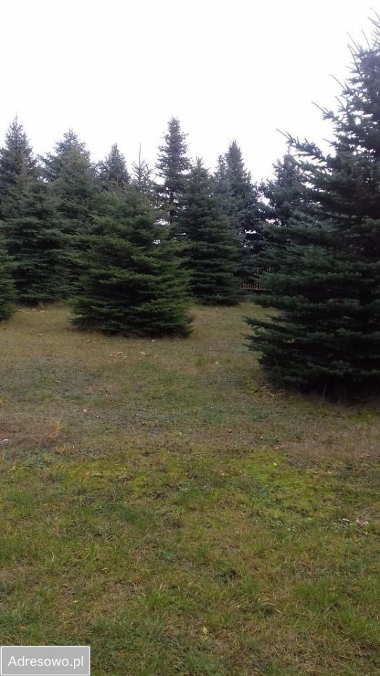 Działka budowlana Żółtki. Zdjęcie 5