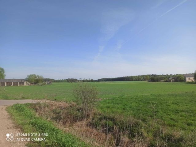 Działka Luszawa. Zdjęcie 1