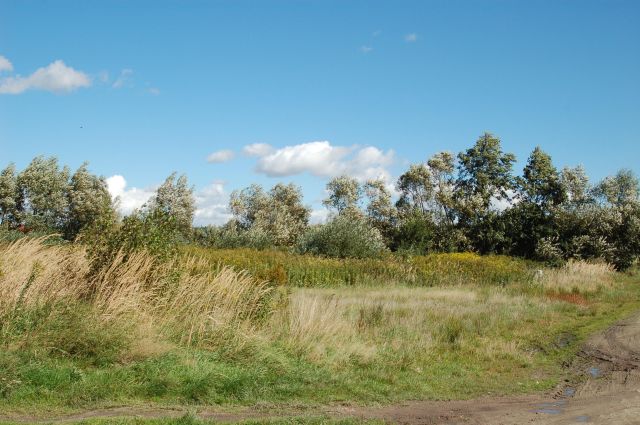 Działka budowlana Chrząstawa Wielka, ul. Spokojna. Zdjęcie 2