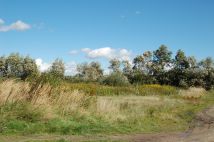 Działka budowlana Chrząstawa Wielka, ul. Spokojna. Zdjęcie 1