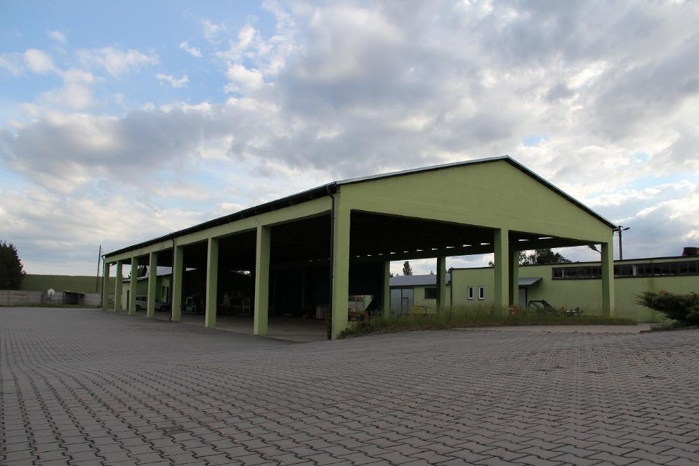 Hala/magazyn Borowy Młyn. Zdjęcie 3