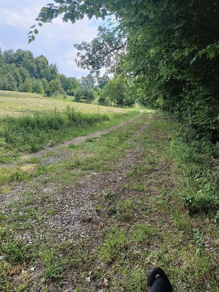 Działka budowlana Łomna. Zdjęcie 7