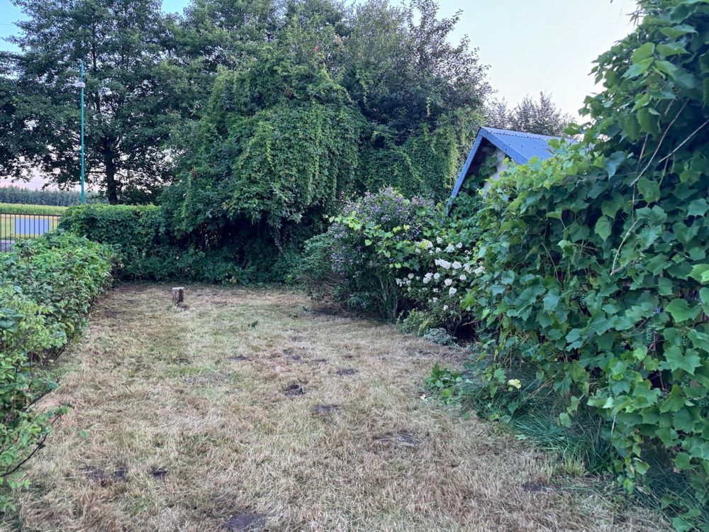 Działka rod Zduńska Wola. Zdjęcie 3