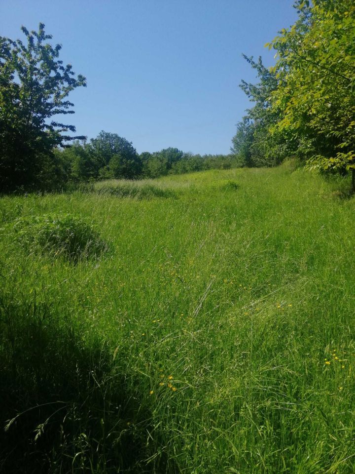 Działka budowlana Rzeszów, ul. Nowe Wzgórze. Zdjęcie 7