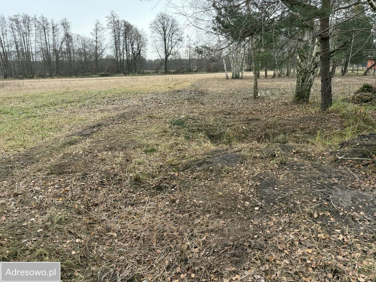 Działka budowlana Chwałowice, ul. Kasztanowa. Zdjęcie 3
