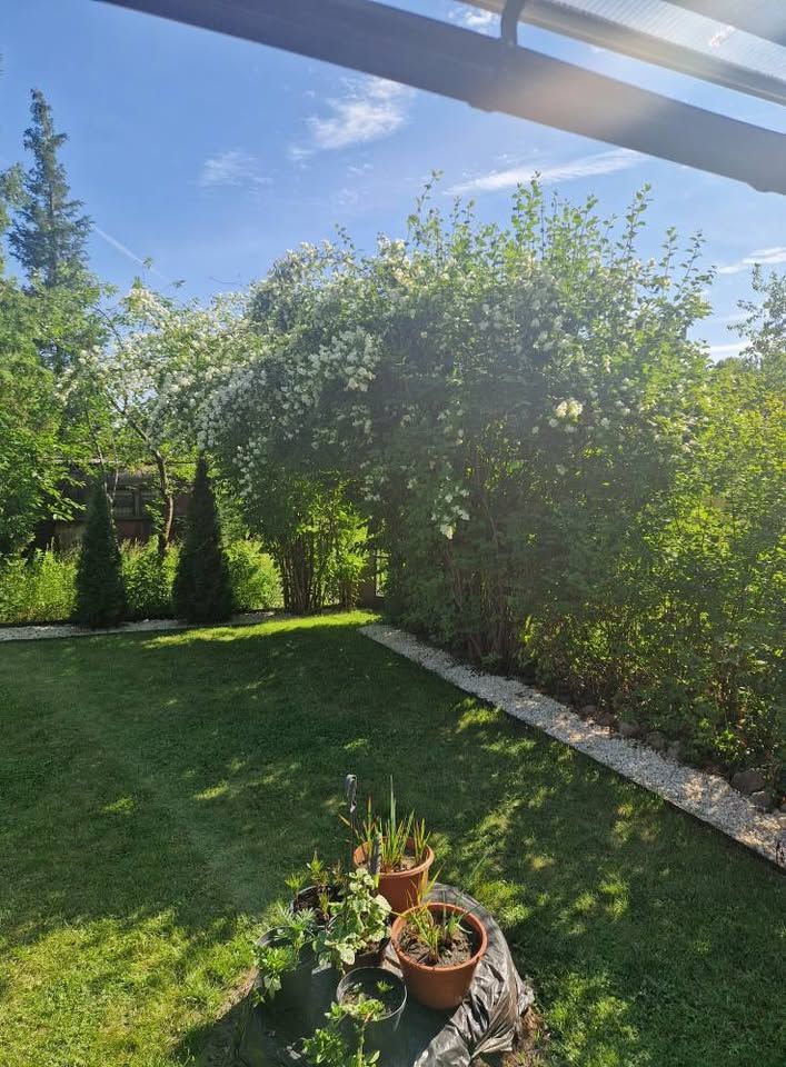 Działka rekreacyjna Osielsko, ul. Moczarowa. Zdjęcie 2