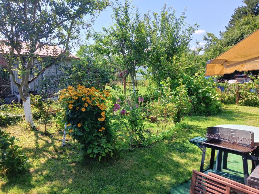 Działka rod Sopot Wyścigi, ul. Władysława Łokietka. Zdjęcie 6