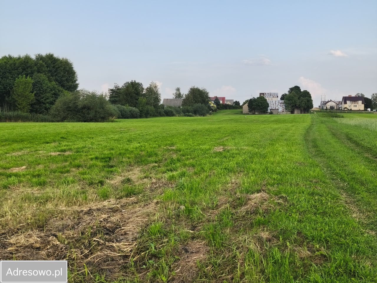Działka siedliskowa Dreństwo. Zdjęcie 13