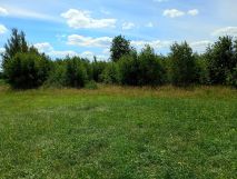 Działka rolno-budowlana Grodzisk Kolonia Grodzisk. Zdjęcie 1