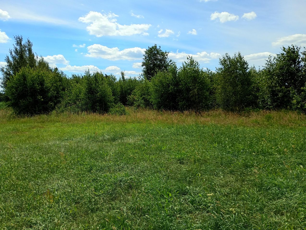 Działka rolno-budowlana Grodzisk Kolonia Grodzisk. Zdjęcie 2