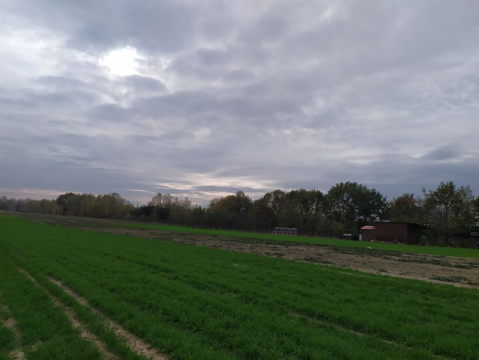 Działka rolna Wychódźc. Zdjęcie 2