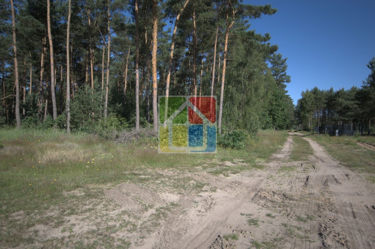 Działka leśna Kiełpieniec Mniszek. Zdjęcie 2