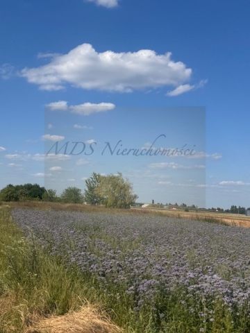 Działka budowlana Nowa Wola, ul. Ignacego Krasickiego. Zdjęcie 3