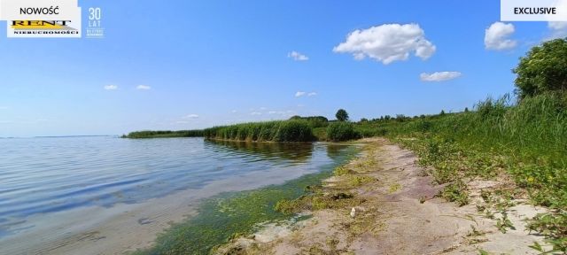 Działka rekreacyjna Płocin. Zdjęcie 10