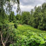 dom wolnostojący Zabiele. Zdjęcie 2