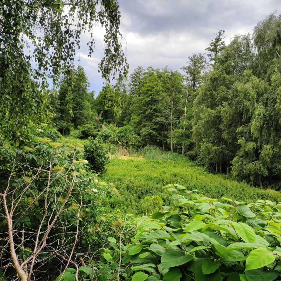 dom wolnostojący Zabiele. Zdjęcie 3