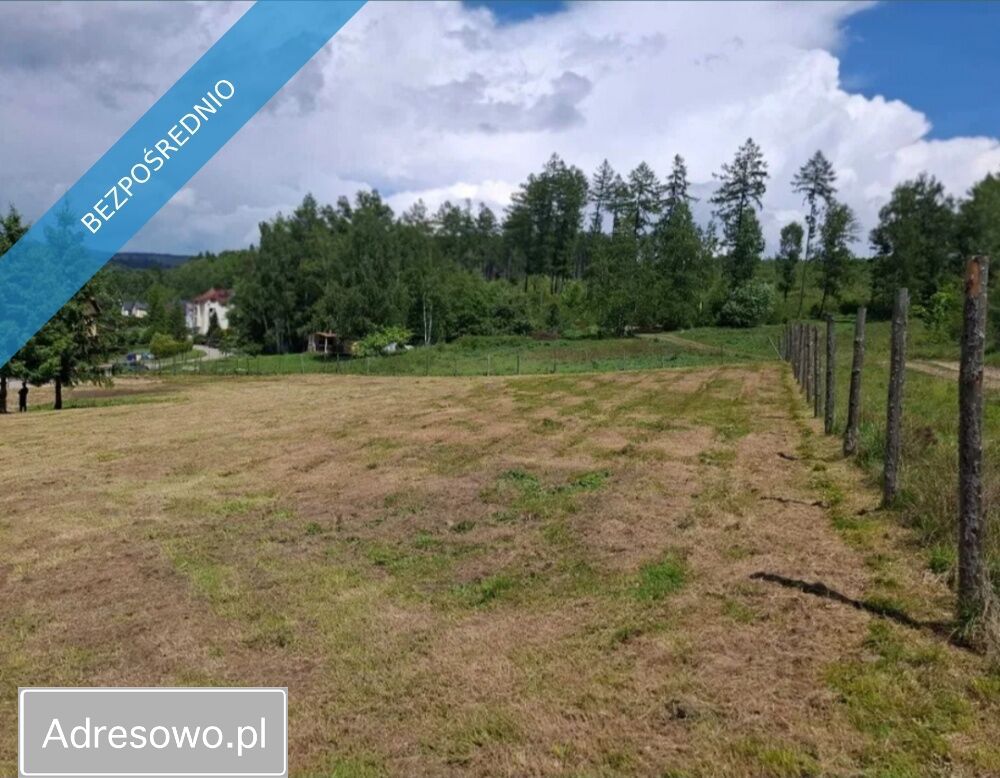 Działka inwestycyjna Kudowa-Zdrój. Zdjęcie 3