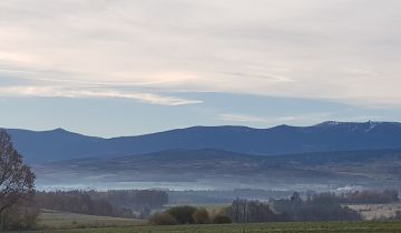 Działka rolna Pasiecznik