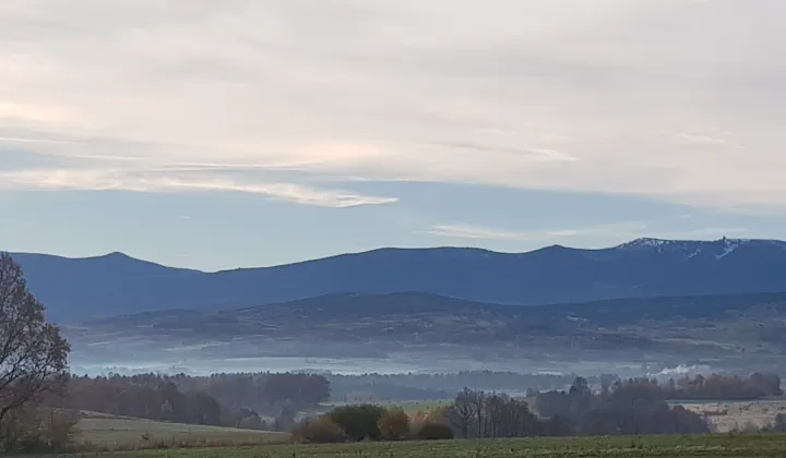 Działka rolna Pasiecznik