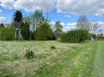 Działka rod Tarnów. Zdjęcie 3