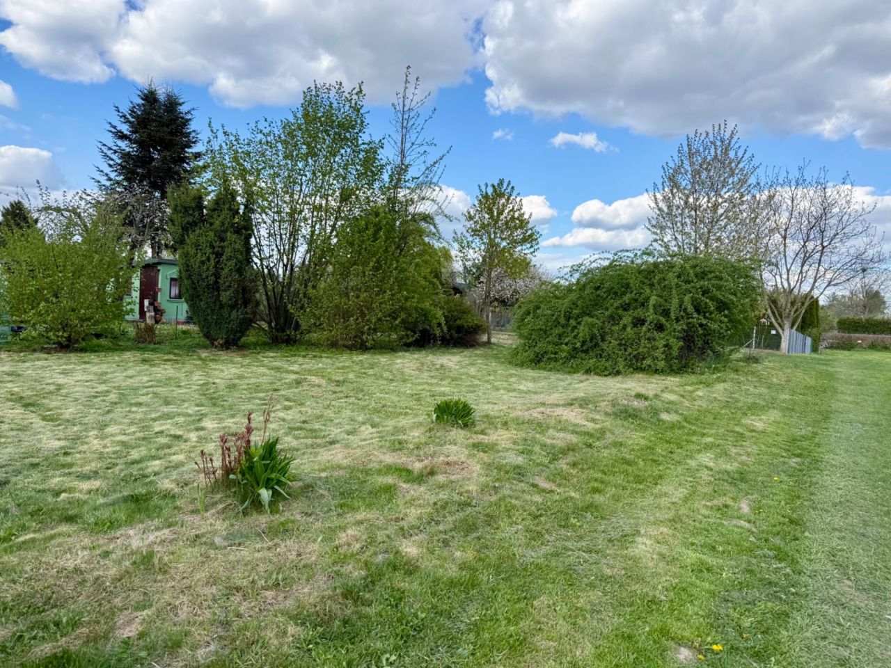 Działka rod Tarnów. Zdjęcie 4