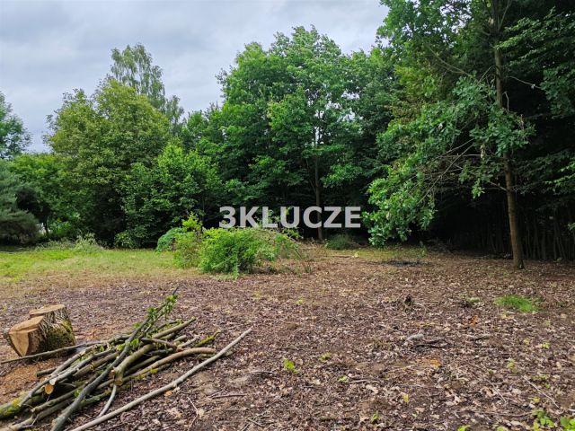 Działka budowlana Dąbrowica. Zdjęcie 4