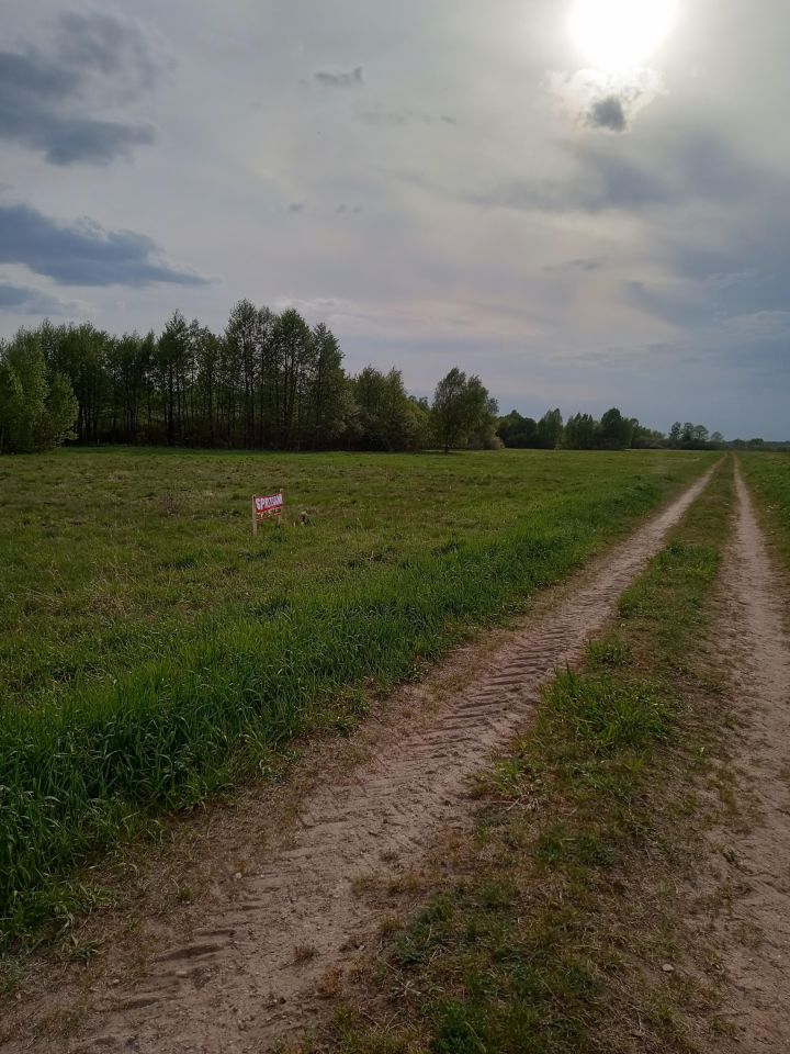Działka budowlana Ploski. Zdjęcie 11