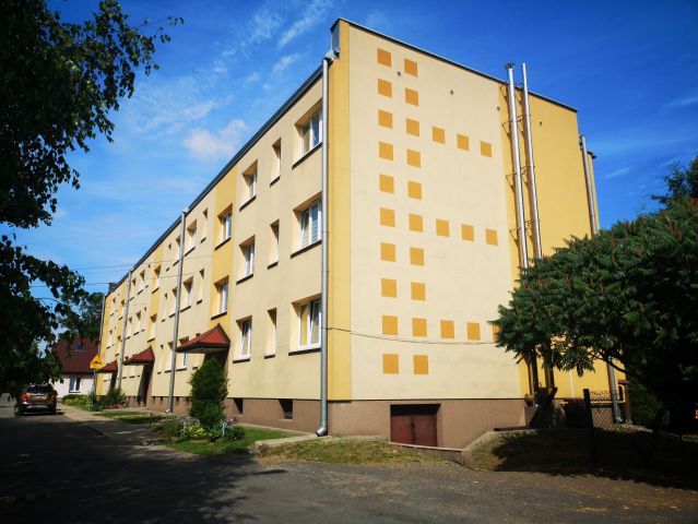 Mieszkanie 4-pokojowe Dawidy, ul. Echa Leśne. Zdjęcie 1