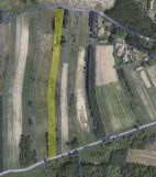 Działka rolno-budowlana Kłyżów Krzaki, ul. Polna. Zdjęcie 3