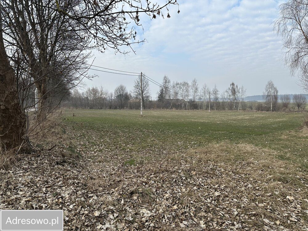 Działka rolno-budowlana Nieborzyn. Zdjęcie 6