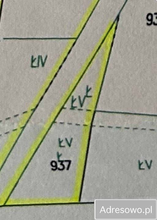 Działka rolna Kurowice