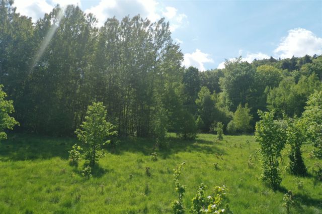 Działka budowlana Piechowice. Zdjęcie 5