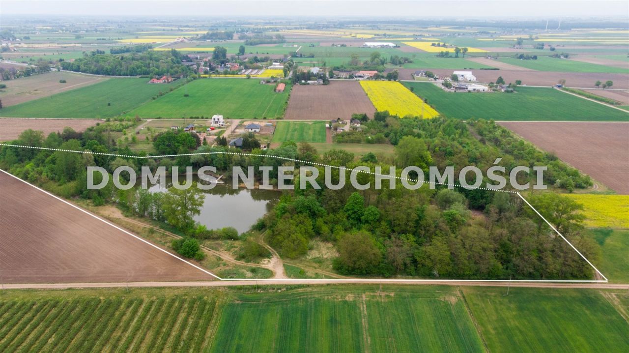 Działka rolna Kutno. Zdjęcie 4