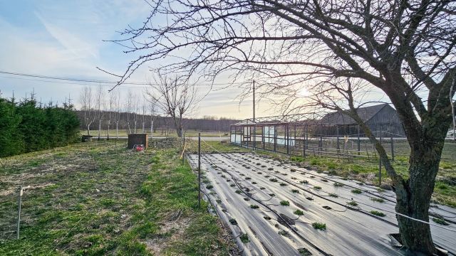 Działka Giętkie. Zdjęcie 4