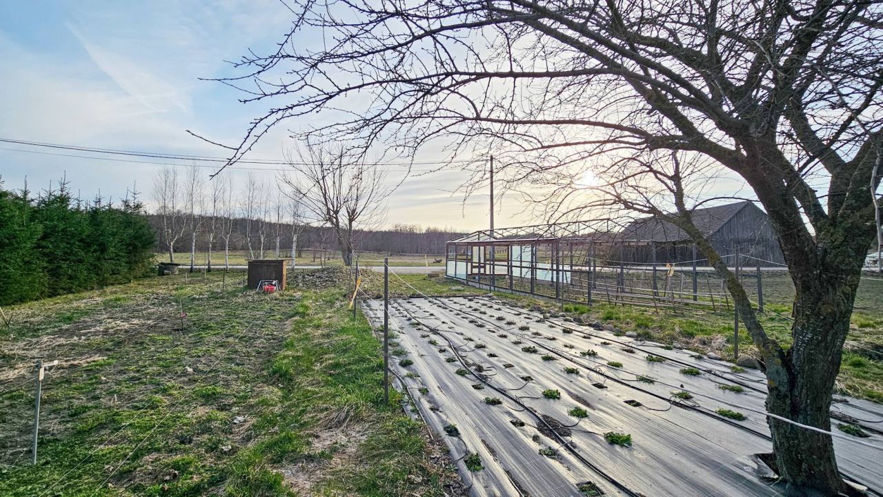 Działka Giętkie. Zdjęcie 4