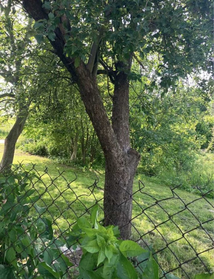 Działka budowlana Gromadzice, ul. Świętokrzyska. Zdjęcie 3