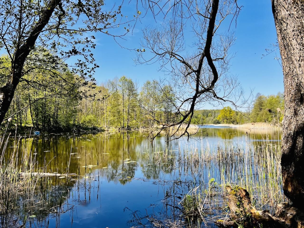 Działka budowlana Włodowo