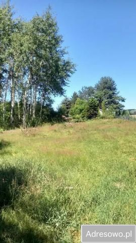 Działka budowlana Grochowa. Zdjęcie 1