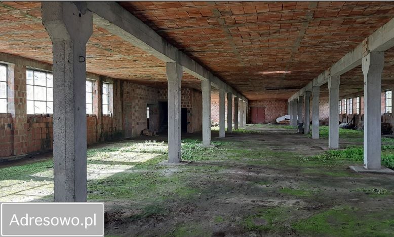 Nieruchomość komercyjna Syców, ul. Oleśnicka. Zdjęcie 8