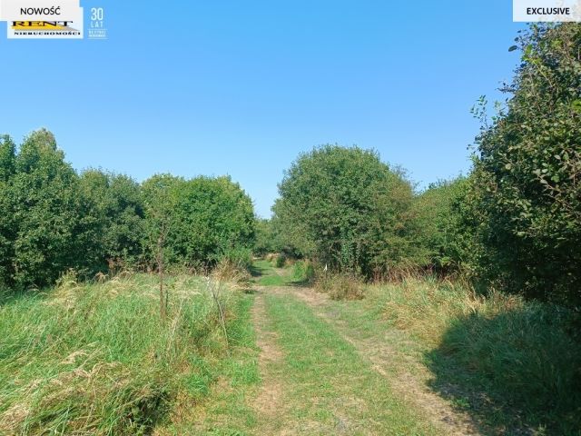 Działka budowlana Będgoszcz. Zdjęcie 2