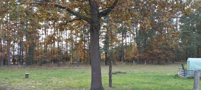 Działka rolna Rudka. Zdjęcie 1